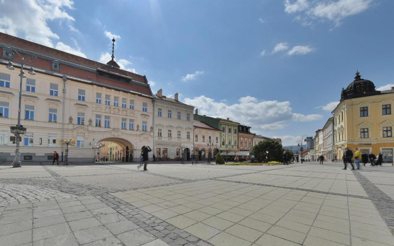 Big 75M2 Next To Opera Building In Direct Centrum, Air-Conditioned, Balcony, 24H Self Checking Banska Bystrica Bagian luar foto